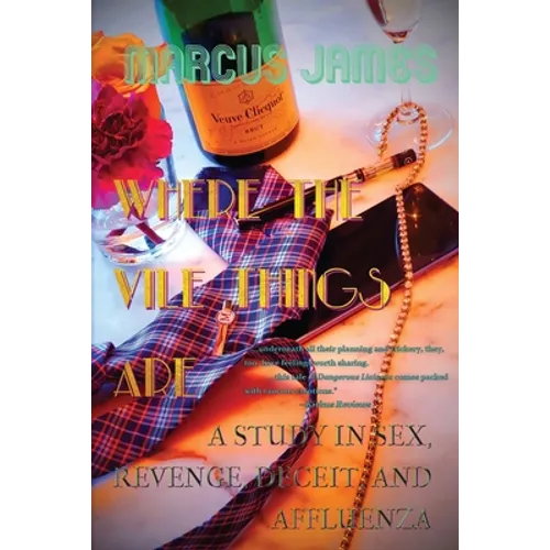 Where the Vile Things Are: A Study in Sex, Revenge, Deceit, and Affluenza - Paperback
