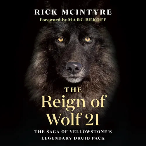 The Reign of Wolf 21: The Saga of Yellowstone's Legendary Druid Pack - Hardcover