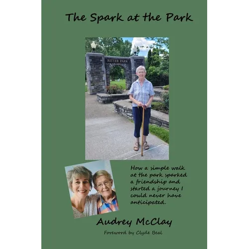 The Spark at the Park - Paperback