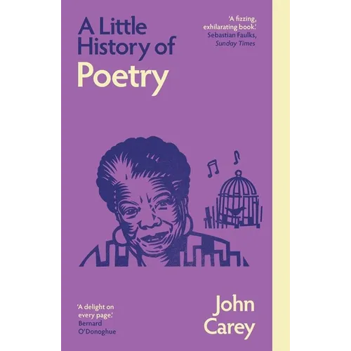 A Little History of Poetry - Paperback