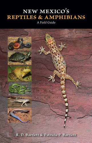 New Mexico's Reptiles and Amphibians: A Field Guide - Paperback