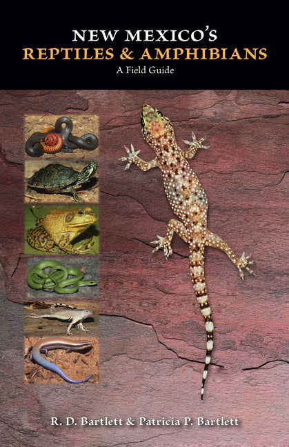 New Mexico's Reptiles and Amphibians: A Field Guide - Paperback