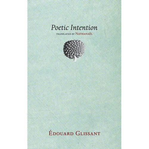Poetic Intention - Paperback