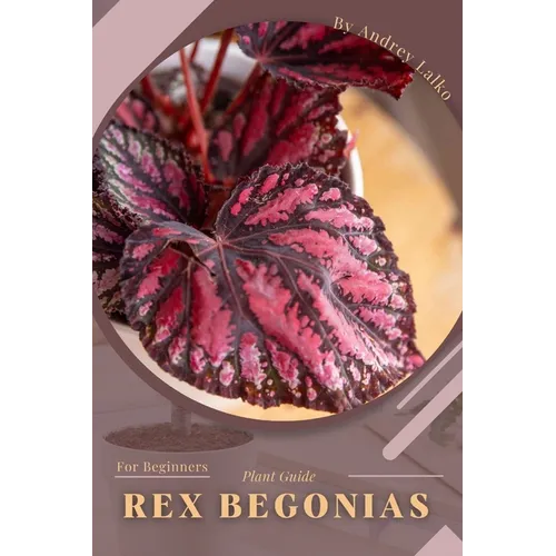 Rex Begonias: Plant Guide