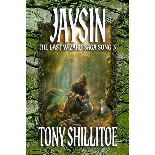 Jaysin: The Last Wizard Saga Song 3 - Paperback
