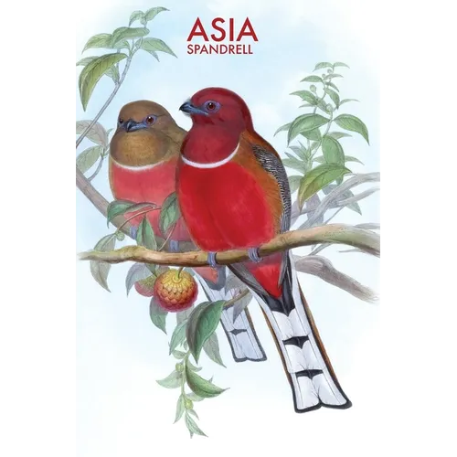 Asia - Paperback