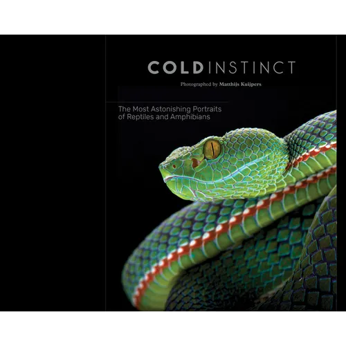Matthijs Kuijpers: Cold Instinct - Hardcover