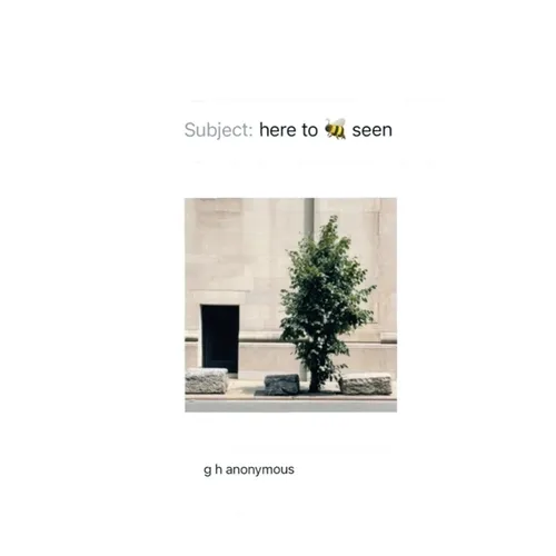here to be seen - Paperback