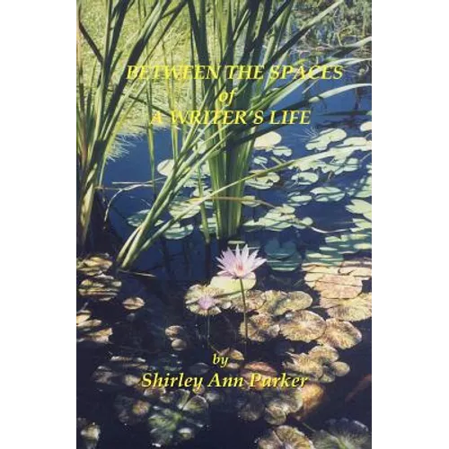 Between the Spaces of A Writer's Life - Paperback