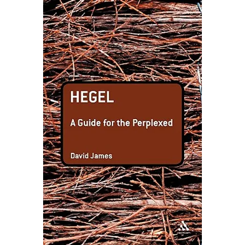 Hegel: A Guide for the Perplexed - Paperback