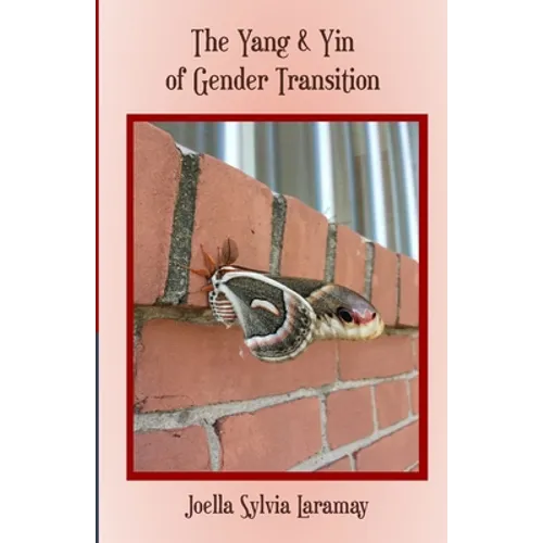 The Yang & Yin of Gender Transition - Paperback