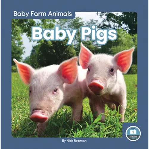 Baby Pigs - Paperback
