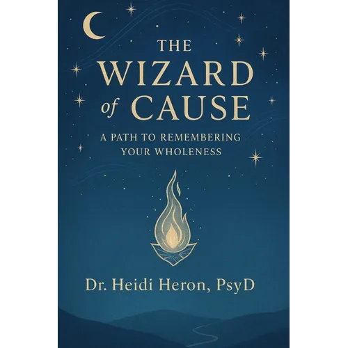The Wizard of Cause - Paperback