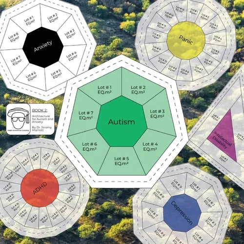 BOOK 2 Architecture for Autism and Anxiety: Insight Architectural Consulting - Paperback