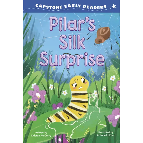 Pilar's Silk Surprise - Paperback