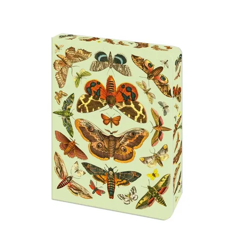 The Moth Journal: Blank Lined Notebook - Paperback