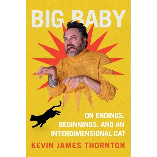Big Baby: On Endings, Beginnings, and an Interdimensional Cat - Paperback
