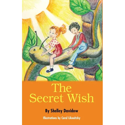 The Secret Wish - Paperback