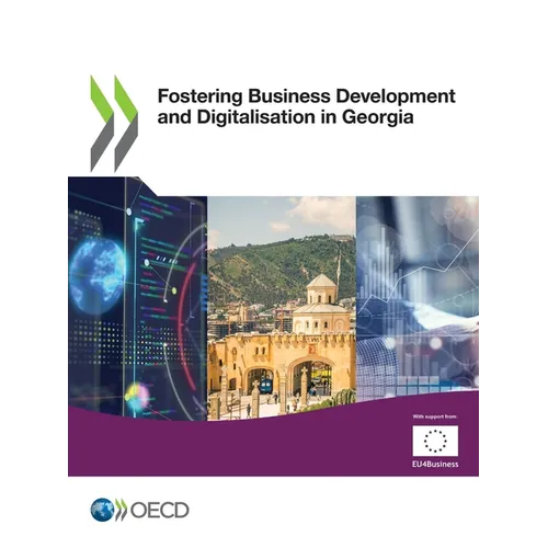 Fostering Business Development and Digitalisation in Georgia - Paperback