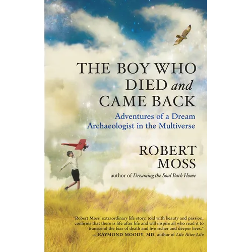 The Boy Who Died and Came Back: Adventures of a Dream Archaeologist in the Multiverse - Paperback