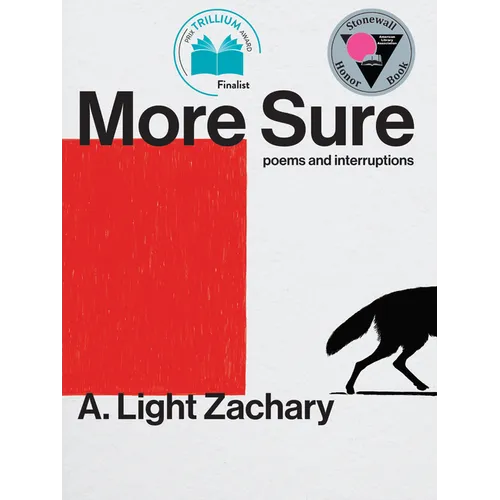 More Sure - Paperback