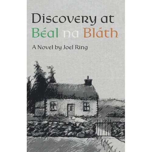 Discovery at Béal na Bláth - Paperback