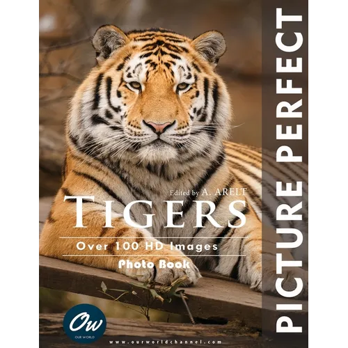 Tigers: Picture Perfect Photo Book - Paperback
