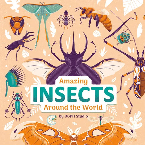 Amazing Insects Around the World - Hardcover