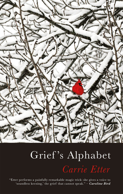 Grief's Alphabet - Paperback