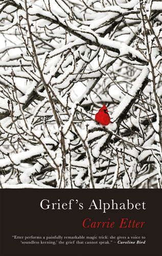 Grief's Alphabet - Paperback