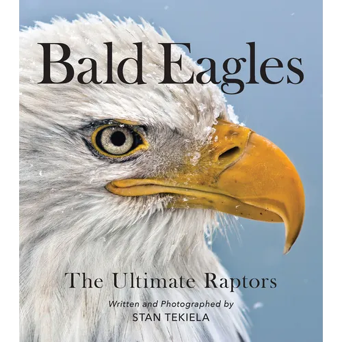 Bald Eagles: The Ultimate Raptors - Paperback