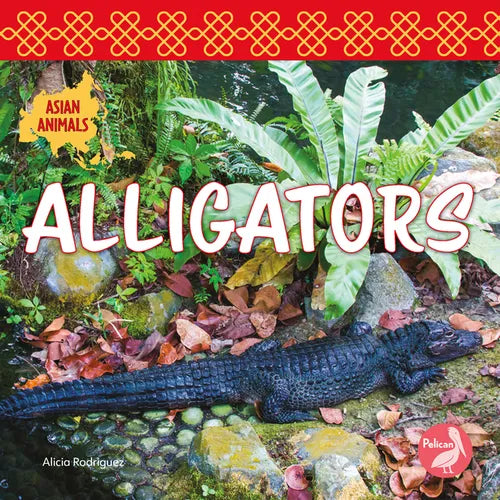 Alligators - Paperback