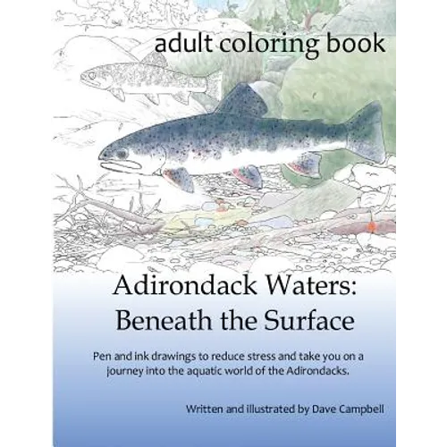 Adirondack Waters: Beneath the Surface - Paperback