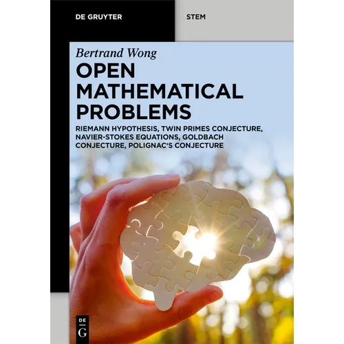 Open Mathematical Problems: Riemann Hypothesis, Twin Primes Conjecture, Navier-Stokes Equations, Goldbach Conjecture, Polignac's Conjecture - Paperback