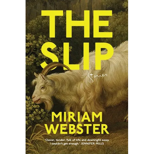 The Slip - Paperback