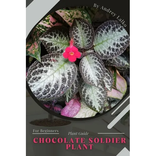 Chocolate Soldier Plant: Plant Guide