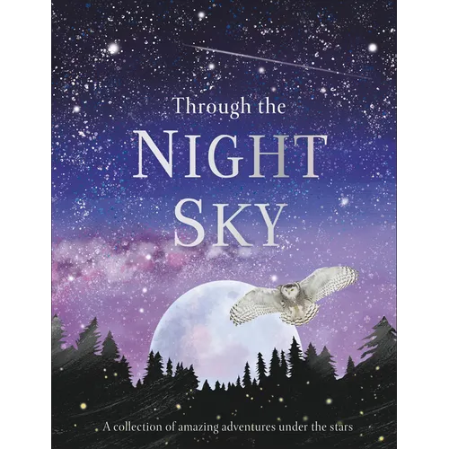 Through the Night Sky: A Collection of Amazing Adventures Under the Stars - Hardcover