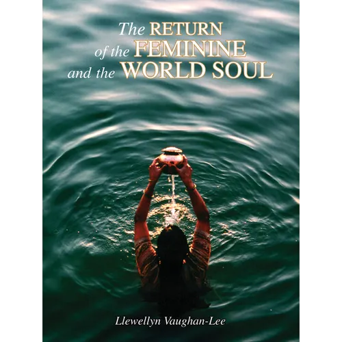 The Return of the Feminine and the World Soul - Paperback