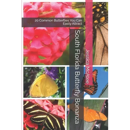 South Florida Butterfly Bonanza: 20 Common Butterflies You Can Easily Attract