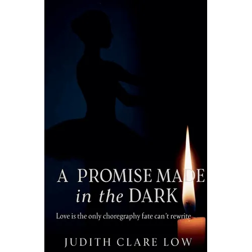 A Promise Made In The Dark - Paperback