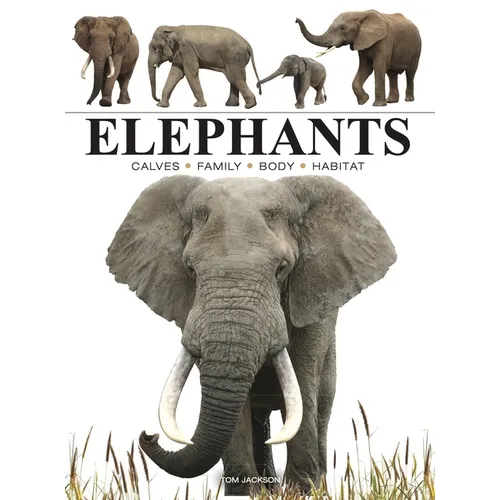 Elephants - Paperback