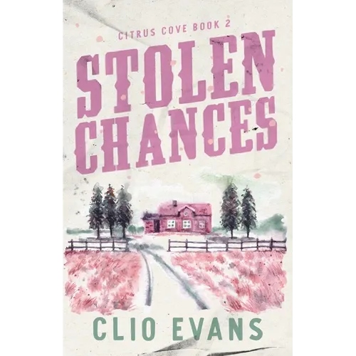 Stolen Chances: A Single Mom, MMF, Small Town Romance Suspense - Paperback