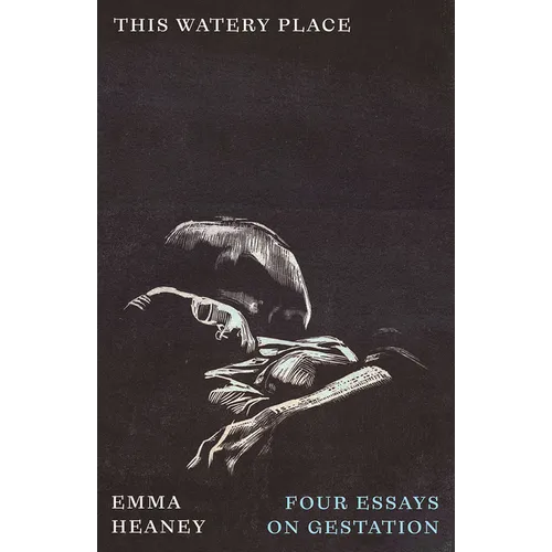 This Watery Place: Four Essays on Gestation - Paperback