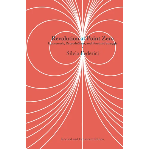 Revolution at Point Zero: Housework, Reproduction, and Feminist Struggle - Paperback