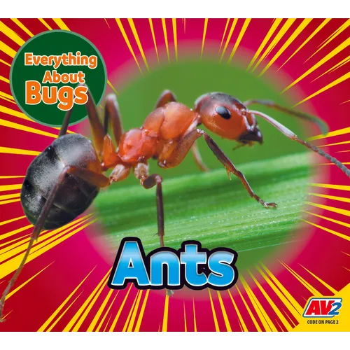 Ants - Paperback