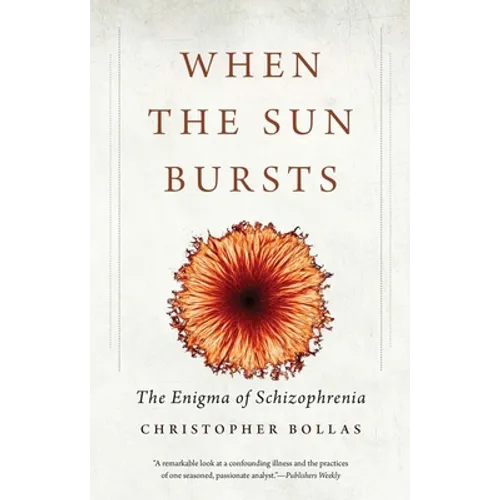 When the Sun Bursts: The Enigma of Schizophrenia - Paperback