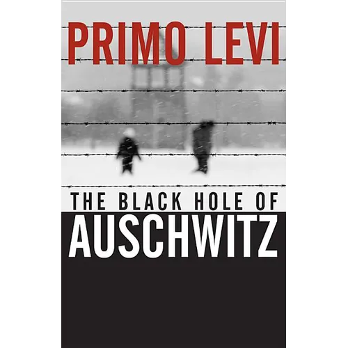 The Black Hole of Auschwitz - Paperback