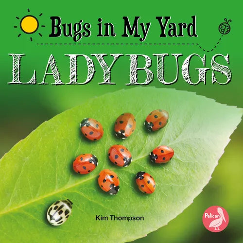 Ladybugs - Paperback