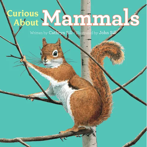 Curious about Mammals - Board Book