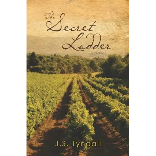 The Secret Ladder - Paperback